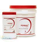 فروش فوزباک ارژنتینی از شرکت bedson