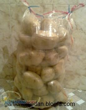 فروش سیب زمینی همدان فروش انواع سیب زمینی