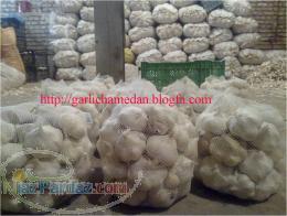 فروش انواع سیر صادراتی و بذری در بسته بندی های مختلف