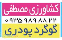 فروش بهترین انواع گوگرد