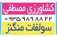 بهترین سولفات منگنز