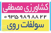 استفاده از سولفات روی در کشاورزی