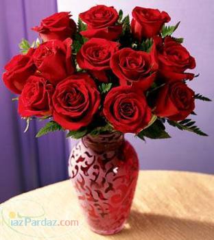 وکیل پایه یک