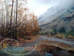 آموزش خصوصی مقدماتی تا حرفه ای تمامی تکنیکهای نقاشی