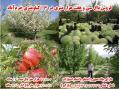 فروش باغ میوه