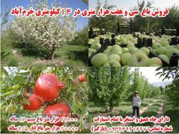 فروش باغ میوه