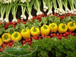 سبزیجات آماده آدیس