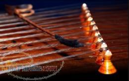 اموزش خصوصی سنتور به صورت کاملا حرفه ای 09392056017 