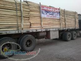 تخته و چوب ایرانی با کمترین قیمت برای مصرف کننده