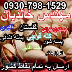 خرید و فروش انواع پسته با قیمت مناسب