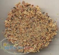 خریدوفروش انزروت09364528568