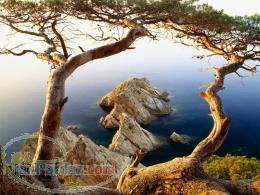 خرید لوازم منزل