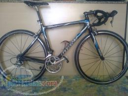 دوچرخه کورسی giant full carbon