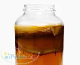 فروش كومبوچا (کومبوجا)قارچ معجزه گر