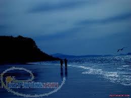 زمین لب دریا