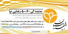 بیمه پارسیان نمایندگی رضایی نیا کد 500060