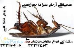 سمپاشی تضمینی سوسک فاضلاب و سوسک ریز آشپزخانه با تضمین شش ماهه