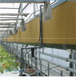 نکات کلیدی پد و فن گلخانه - سازه گلخانه