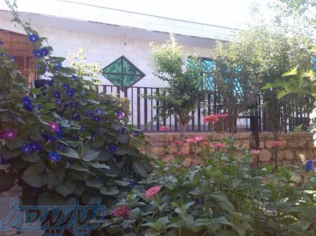 لوله بازکنی قم تخلیه چاه قم