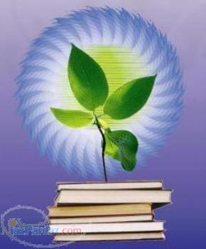 تدوین پایانامه مالی و حسابداری