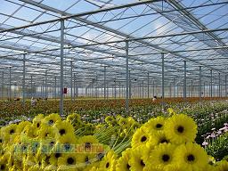 ورق پلي كربنات RFX جايگزين نايلون ( گلخانه پايدار )