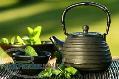فروش چای بهاره 92 – سبز و سیاه
