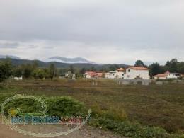 فروش فوري و استثنايي زمين چمستان