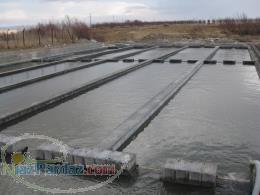 فروش مزرعه پرورش ماهی قزل آلا فروش فوری