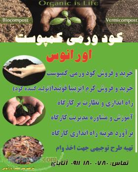 ورمی کمپوست گیلان