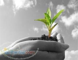 خرید و فروش کود ورمی کمپوست در گیلان