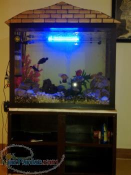 فروش آکواریوم به ابعاد 100 40 80