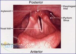 دکتر ابوالفضل صالحی - درمان فیزیکی بیماریهای عملکردی حنجره