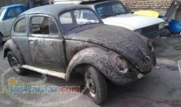 فروش فولکس قورباغه ای