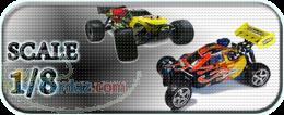 فروش ماشین های سوختی کنترلی TIZRO RC CAR