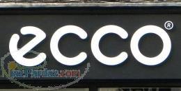 شرکت رایان پخش ( پخش کننده عمده اسپری اکو در 22 رایحه زیر قیمت بازار)