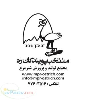 منتخب پویندگان ره