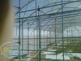 طراحی و اجرای انواع گلخانه 