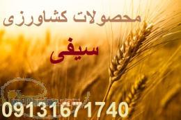 خرید و فروش انواع محصولات کشاورزی 