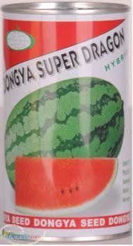 بذر هندوانه سوپر دراگون