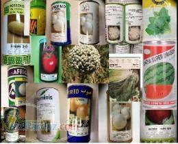 بذر گوجه فرنگی