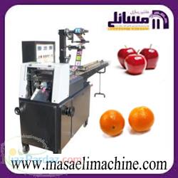 دستگاه بسته بندی میوه