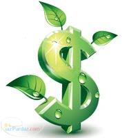 سرمایه گذاری