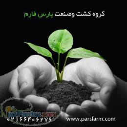 گروه کشت و صنعت پارس فارم 