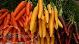 فروش هویج زردک (شسته شده)