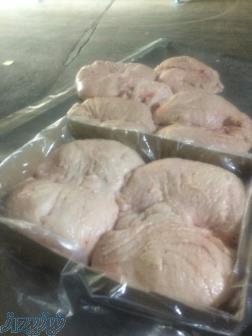 فروش دنبه گوسفند