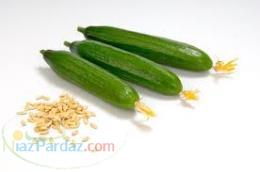 بذرخیارگلخانه ای شرکت سیب سبز