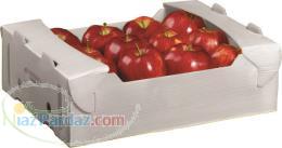جعبه بسته بندی میوه صادراتی از کارتن پلاست 
