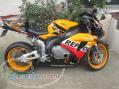 honda cbr 1000 2005 