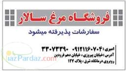 پخش مرغ سالار 