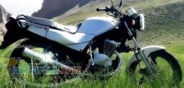 دایلیم 125 سی سی قیمت 1200 اصل کره